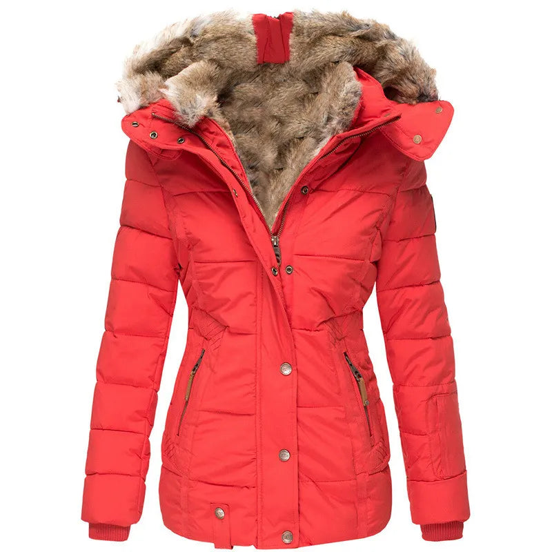 Apolline | Manteau intemporel