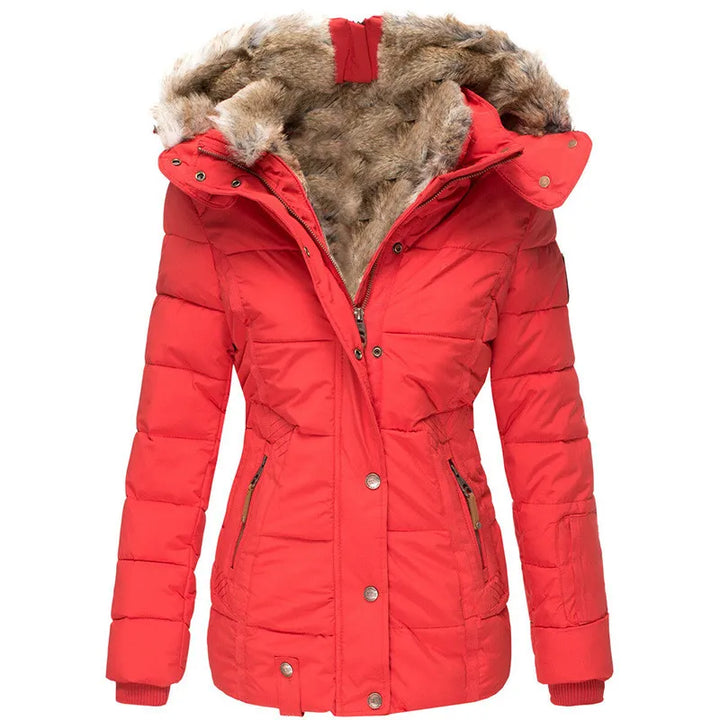 Apolline | Manteau intemporel