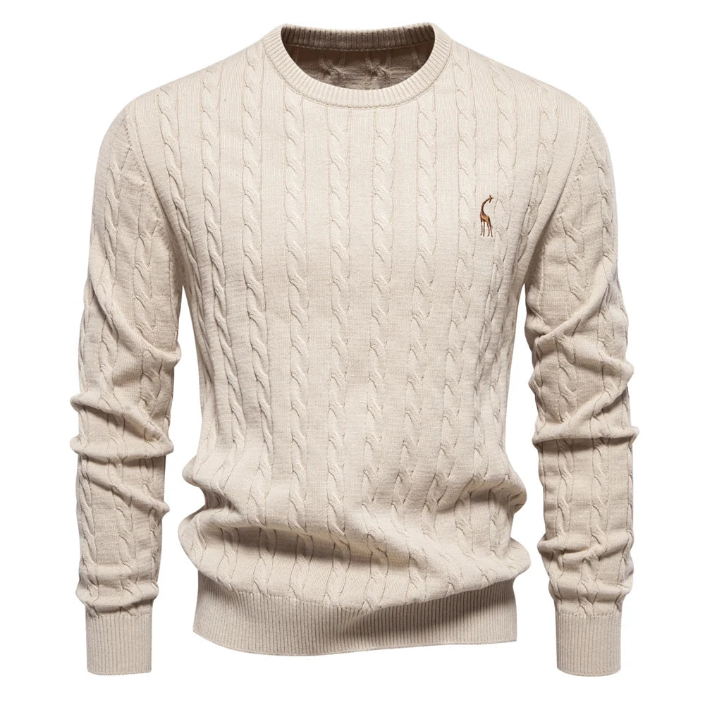 Rogier | Pull Élégant pour Hommes