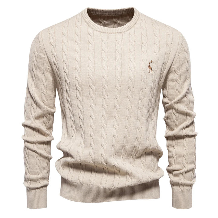Rogier | Pull Élégant pour Hommes