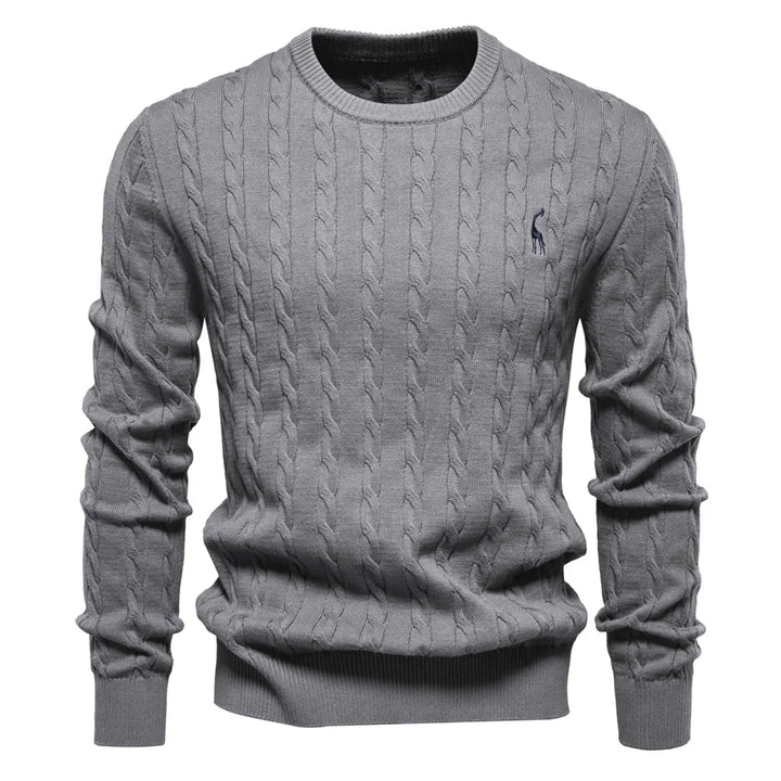 Rogier | Pull Élégant pour Hommes