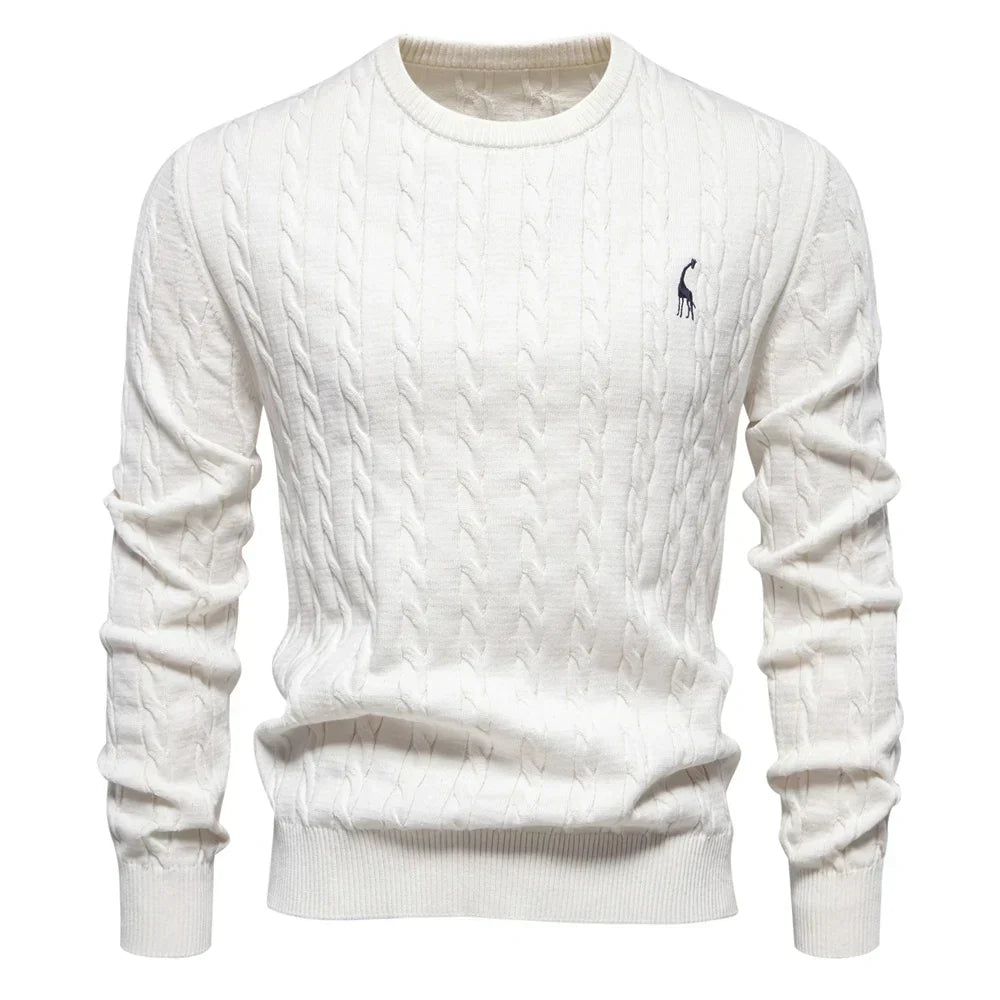Rogier | Pull Élégant pour Hommes