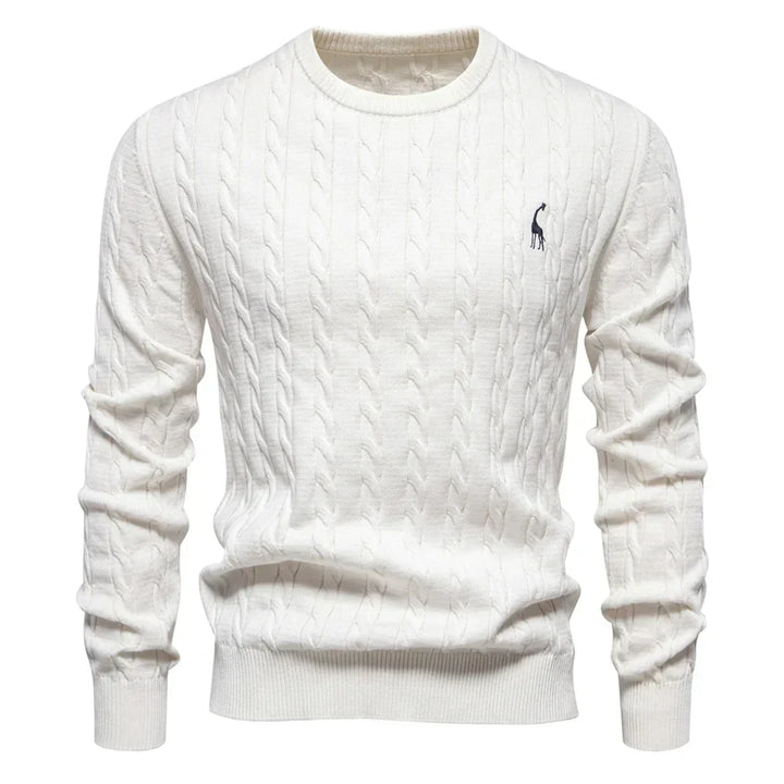 Rogier | Pull Élégant pour Hommes