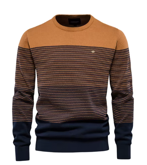 Raymond | Pull Élégant pour Hommes