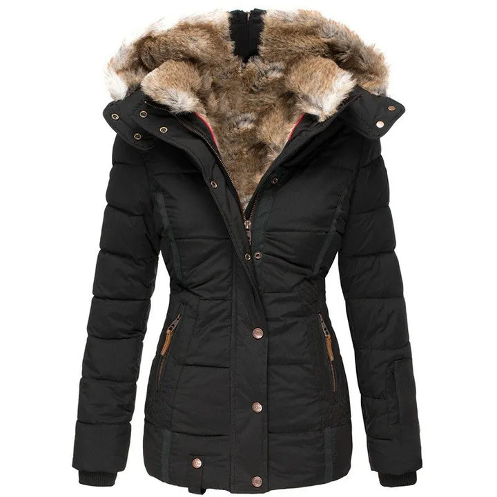 Apolline | Manteau intemporel